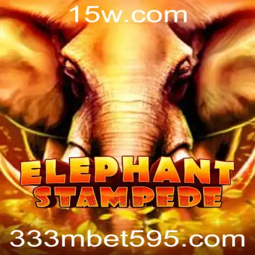 333m bet Casino App
